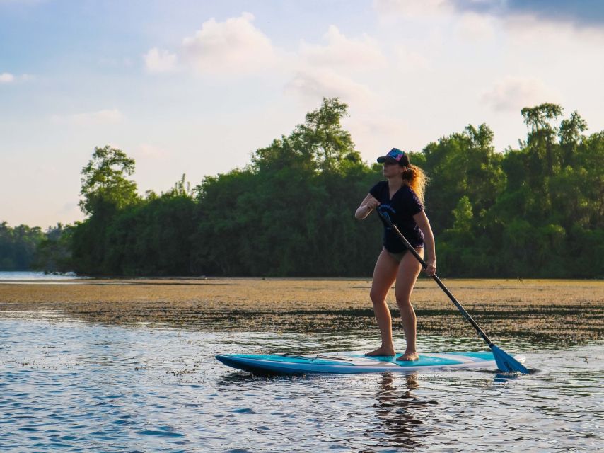 Paddle Boarding in Mount Lavinia - Key Points