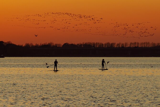 Paddleboarding Experience in Malahide - Key Points