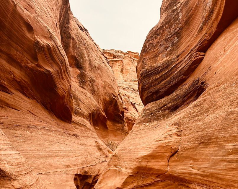 Page: Mountain Sheep Slot Canyon Guided Hiking Tour - Key Points