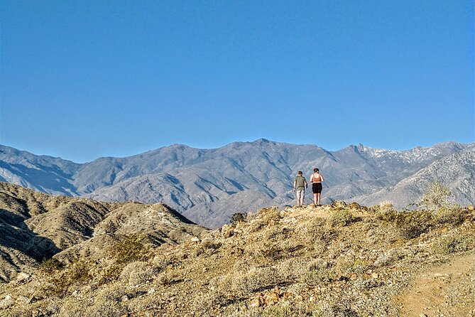 Palm Springs Hike to an Oasis and Amazing Desert Views - Key Points