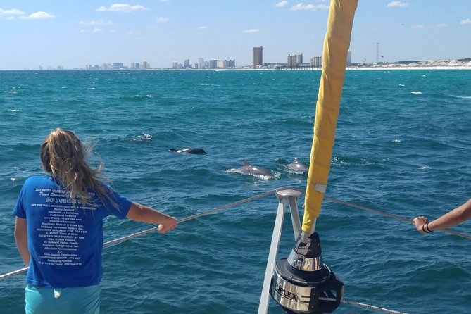 Panama City Beach Dolphin Sightseeing Sail - Key Points