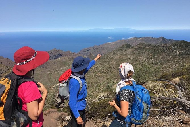 Panoramic Route Across the Teno Rural Park in Tenerife - Key Points