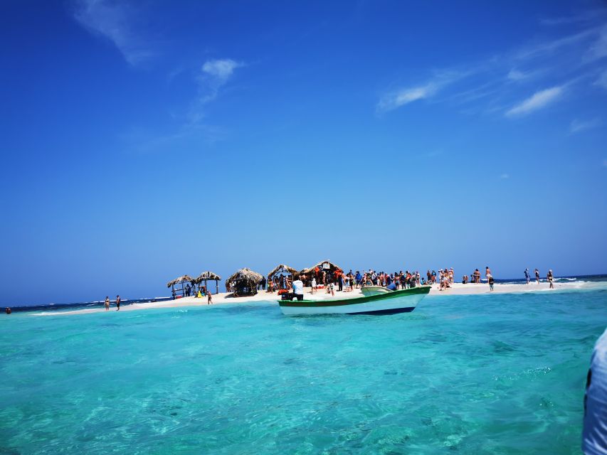 Paradise Island Private Tour Snorkeling Manatee Sanctuary - Just The Basics