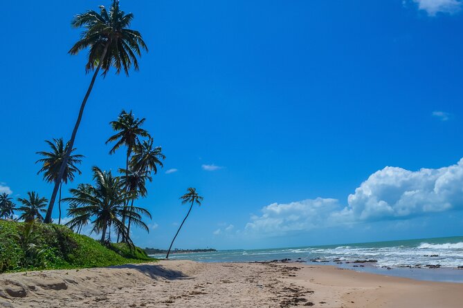 Paraíba South Coast: Praia Do Amor, Bela & Carapibus Beaches  - João Pessoa - Key Points