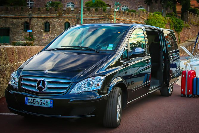 Paris Private Transfer to Disneyland - Key Points