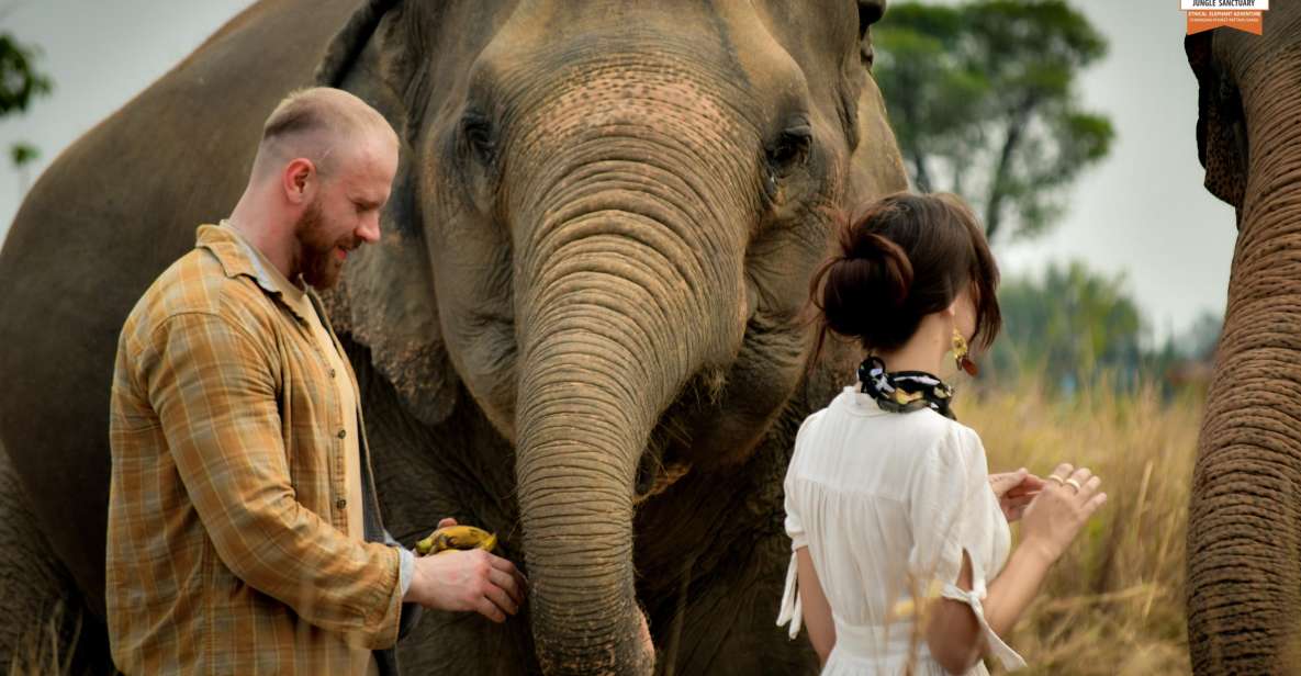 Pattaya: Elephant Jungle Sanctuary Half-Day Tour With Meal - Key Points