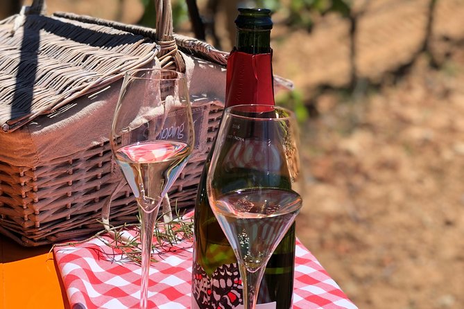 Penedès Wine Tour and Picnic Lunch  - Barcelona - Booking Details