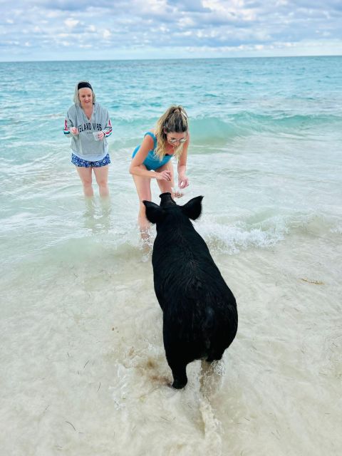 Perfect Day - Swimming Pigs, Snorkel & Beach Club - Key Points