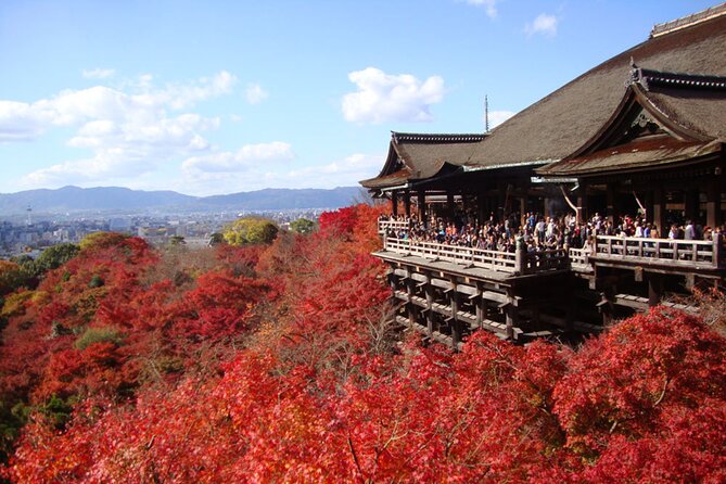 PERFECT KYOTO 1Day Bus Tour - Just The Basics