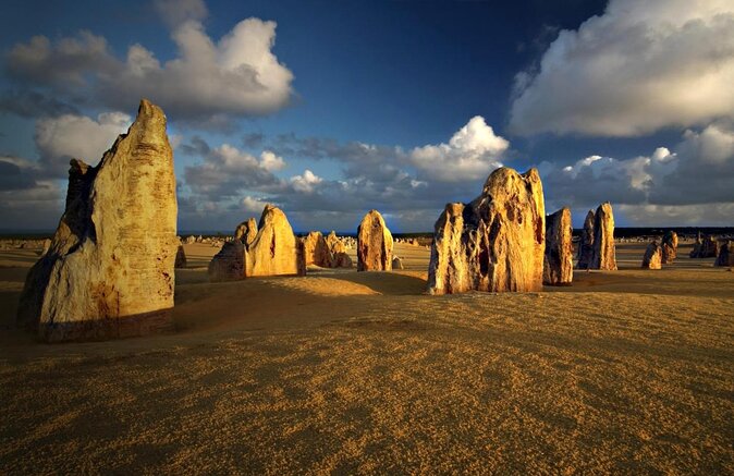 Perth to the Pinnacles: Private Full-Day Coastal Explorer Tour (Mar ) - Key Points