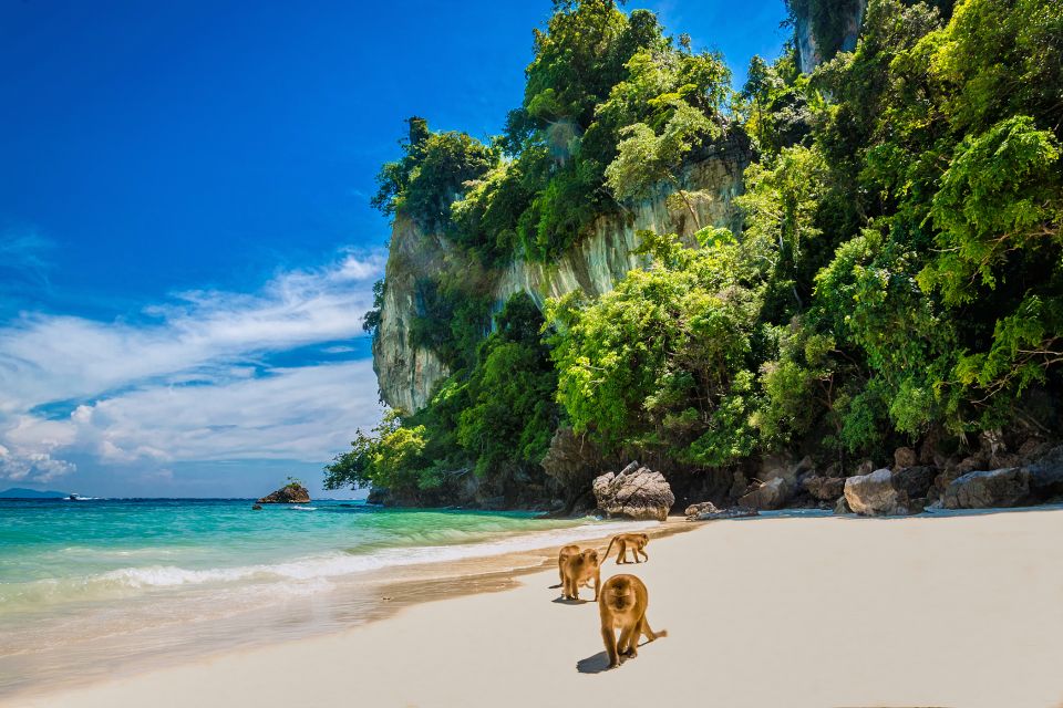 Phi Phi: Half-Day Long-Tail Island Boat Tour Ticket - Key Points
