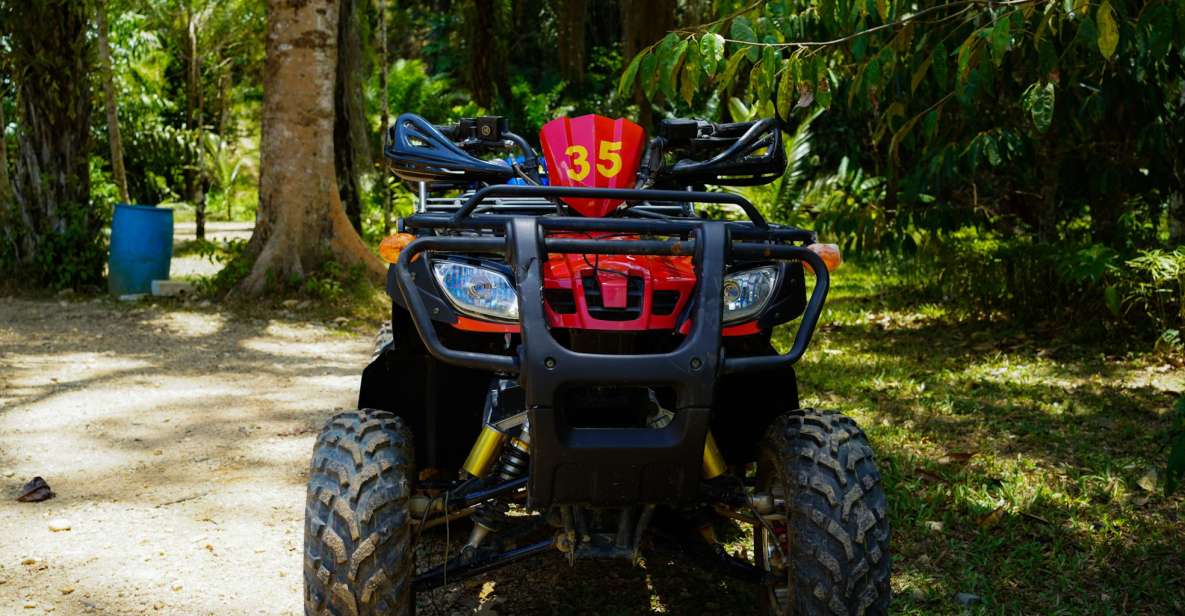 Phuket: ATV Tour With Sea Views and Big Buddha Temple - Key Points