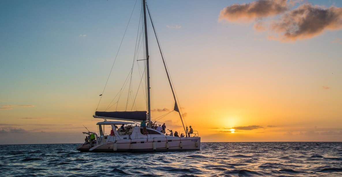 Phuket: Coral Island & Sunset Dinner by Sailing Catamaran - Key Points