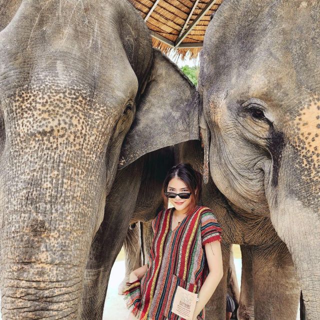Phuket: Elephant Jungle Sanctuary Half-Day Visit With Meal - Key Points