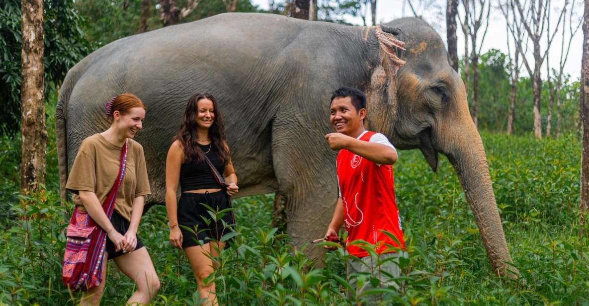 Phuket: Elephant Sanctuary Small Group Tour in Khao Lak - Key Points