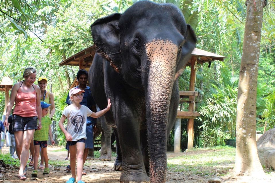 Phuket: Ethical Elephant Sanctuary Experience - Key Points