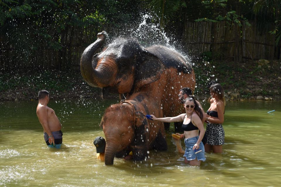 Phuket: Half Day or 2-Hour Ethical Elephant Care Sanctuary - Key Points