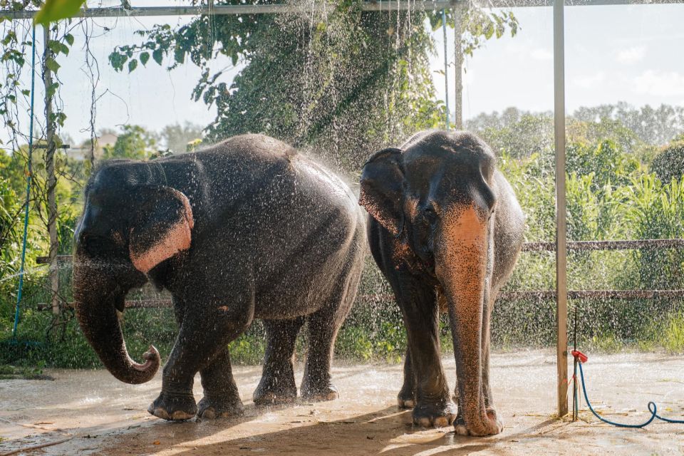 Phuket: Phuket Elephant Care Sanctuary ECO Tour - Key Points
