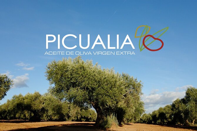 Picualia, Visit the Oil Mill & EVOO Tasting - Key Points