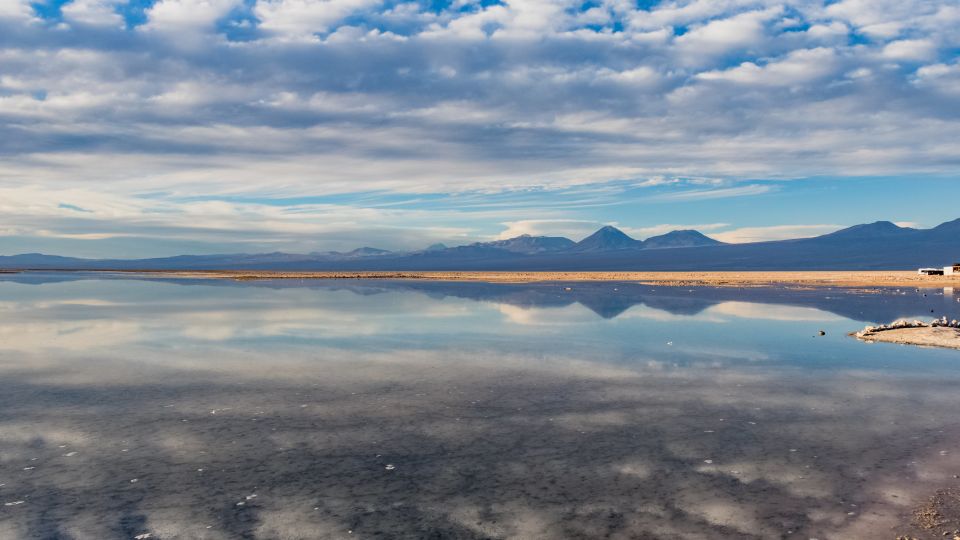 Piedras Rojas, Altiplanic Lagoons & Salar Full-Day Tour - Key Points