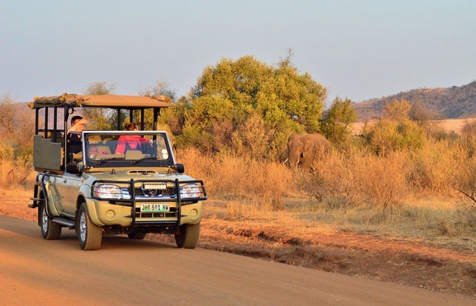 Pilanesberg Full-Day Shared Safari With Sun City Visit - Just The Basics