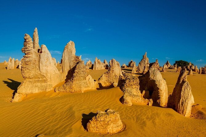Pinnacles Desert Private Tour - Key Points