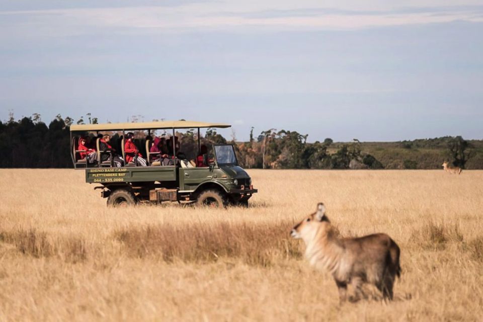 Plettenberg Bay Game Reserve: 2-Hour Game Drive - Just The Basics