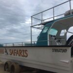 plettenberg bay whale watching boat cruise Plettenberg Bay: Whale Watching Boat Cruise
