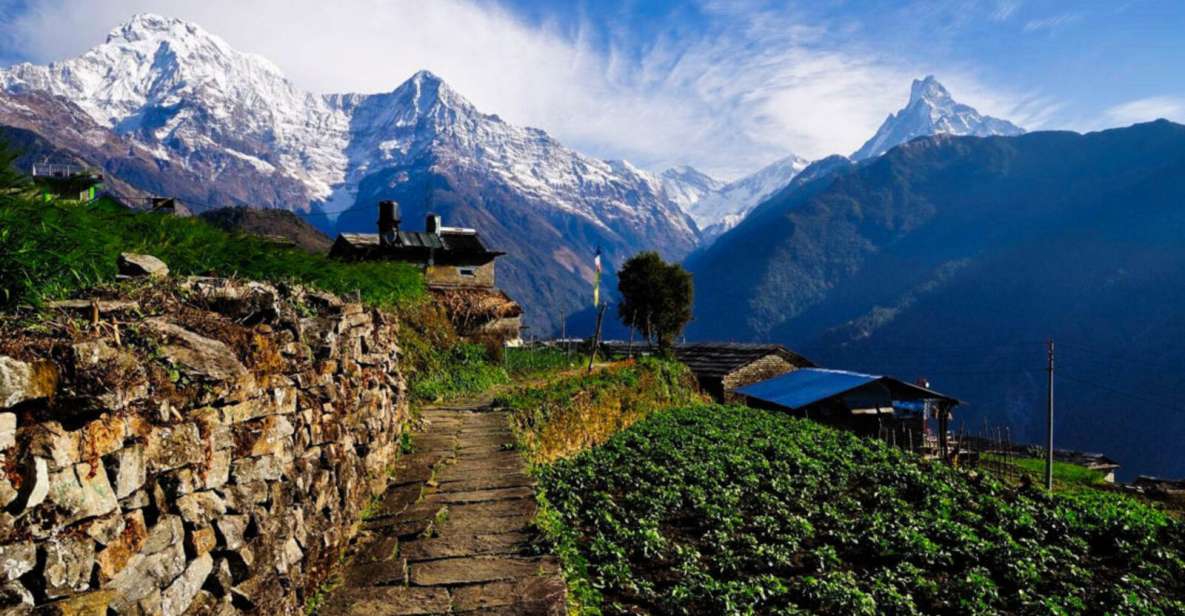 Pokhara: 3 Days Panchase Trek - Key Points