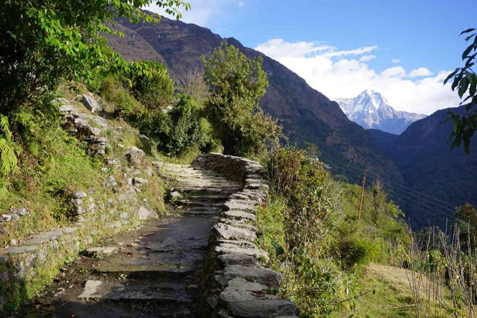 Pokhara: 4 Day Mulde View Point With Poon Hill Trek - Key Points