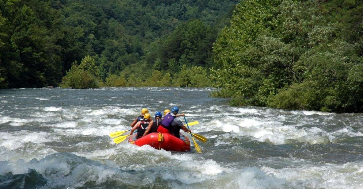 Pokhara: Seti Whitewater Guided Half Day Rafting Adventure - Key Points