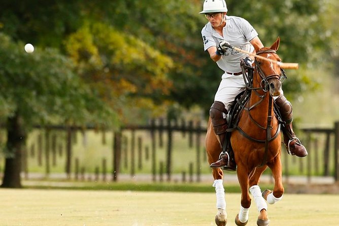 Polo Lessons From Buenos Aires by Polo Elite - Key Points