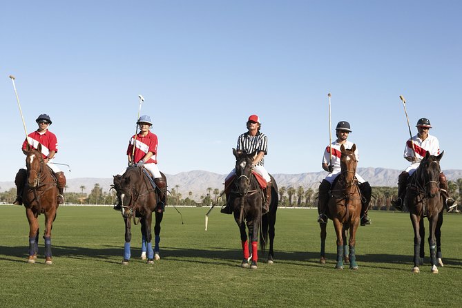 Polo Match, BBQ and Lesson Day-Trip From Buenos Aires - Key Points