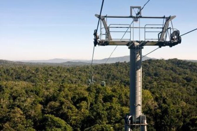 Port Douglas: Kuranda Tour With Skyrail or Scenic Train - Key Points