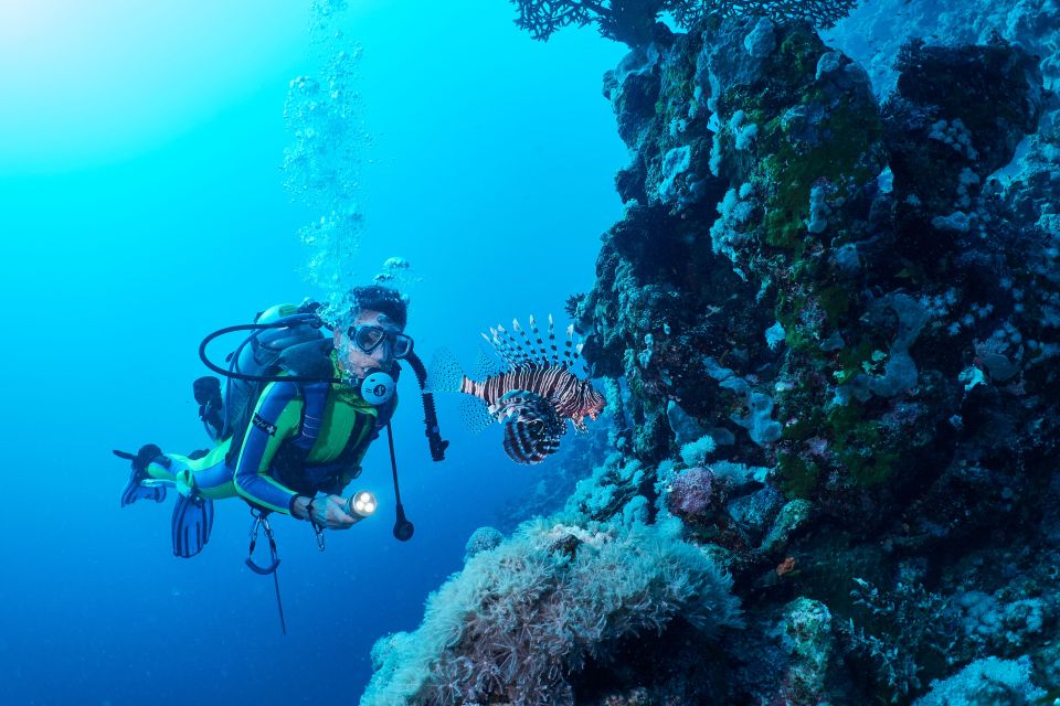 Port Ghalib: Scuba Diving for Beginners Day-Trip With Lunch - Key Points