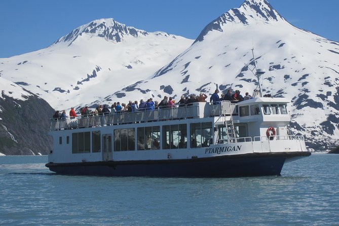 Portage Glacier Cruise and Wildlife Explorer Tour - Just The Basics