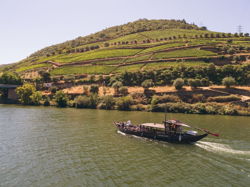 Porto: 2 Douro Valley Wineries Day Trip With River Cruise - Key Points