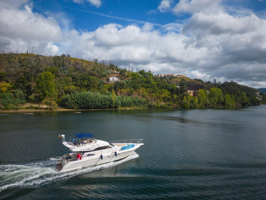 Porto: Cruise on the Douro River - Discovering Régua - Key Points