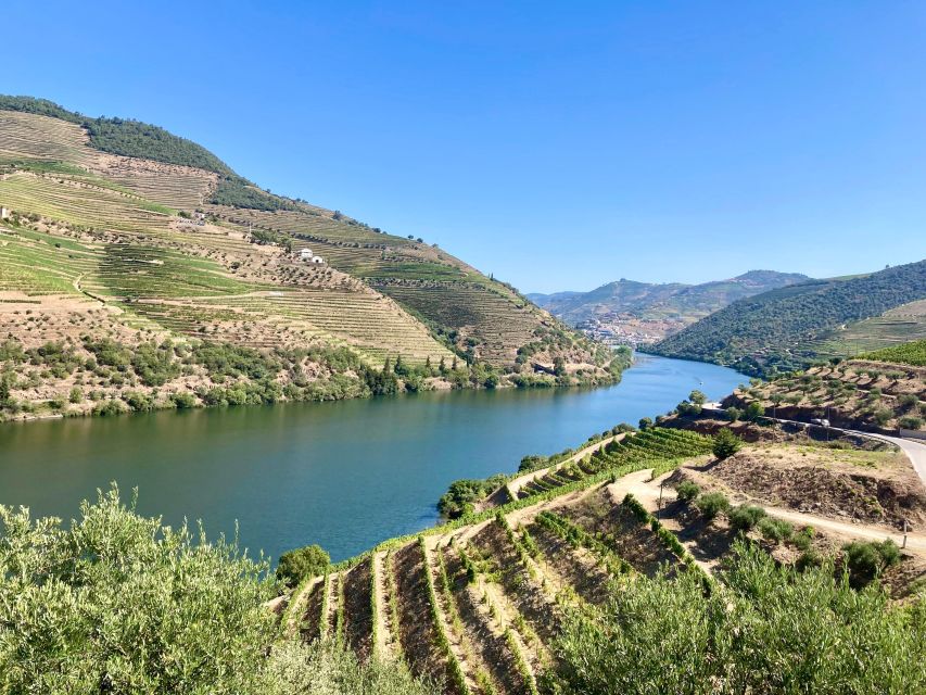 Porto: Douro Valley Wine Tour With Tastings, Boat, and Lunch - Key Points