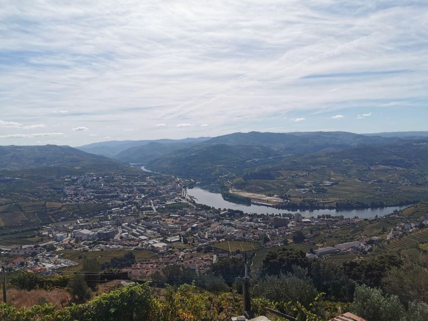 Porto & Douro: Visit to Viewpoints, Lunch, 2 Wine Tasting - Key Points