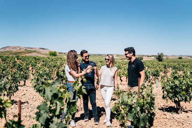 Premium Winery Full-Day Tour From Madrid (Mar ) - Just The Basics