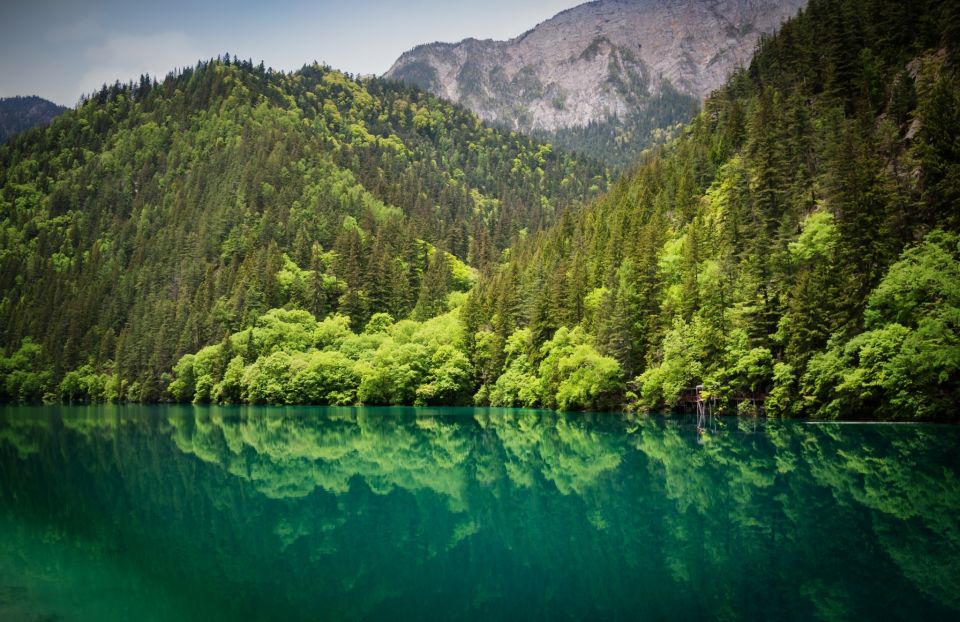 Private 5-Day Amazing Trip: Chengdu and Jiuzhaigou - Just The Basics