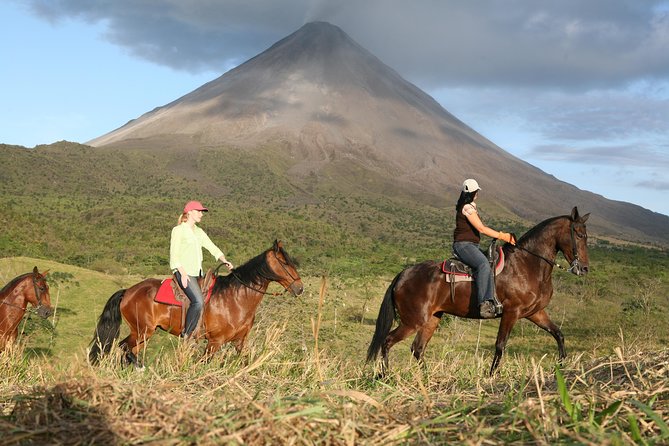 Private and Customized Horseback Riding Adventures - Key Points