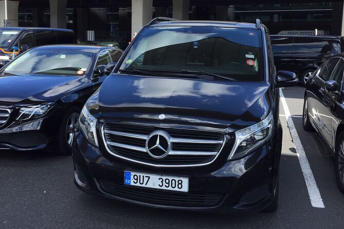 Private Arrival Transfer From Charles De Gaulle Airport CDG to Paris City - Just The Basics