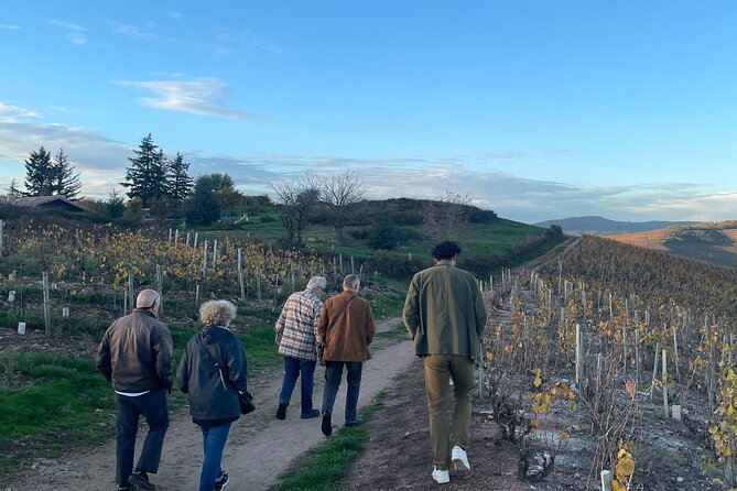 Private Beaujolais Wine Tour From Lyon With a French Sommelier - Key Points