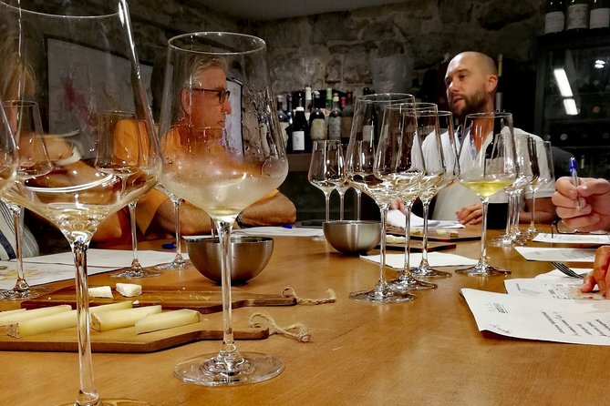 Private Bordeaux Wine Tasting Tour From San Sebastián  - San Sebastian - Key Points