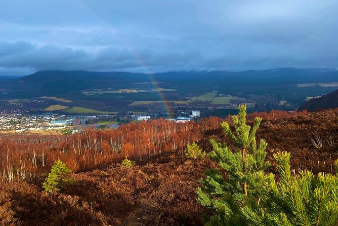 Private Cairngorm National Park Tour - Key Points