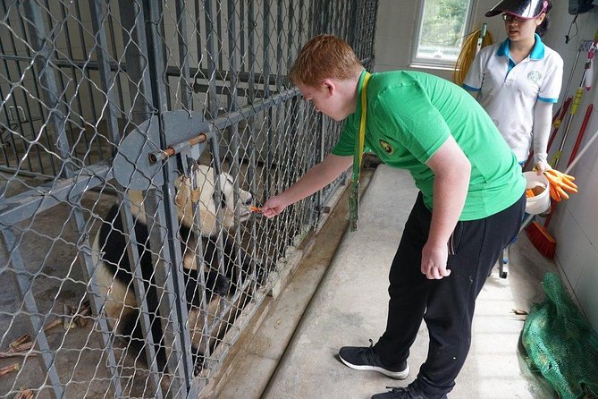 Private Day Tour: Dujiangyan Panda Base Volunteering From Chengdu - Tour Details