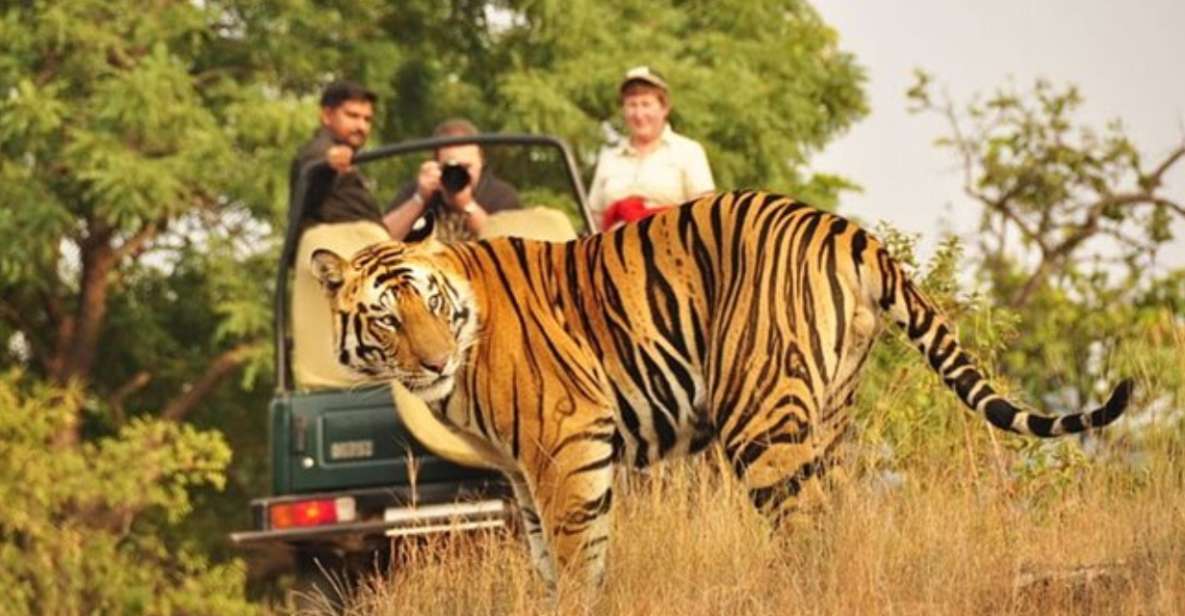 Private Day Trip With Tiger Safari From Jaipur All Included - Inclusions in the All-Inclusive Package