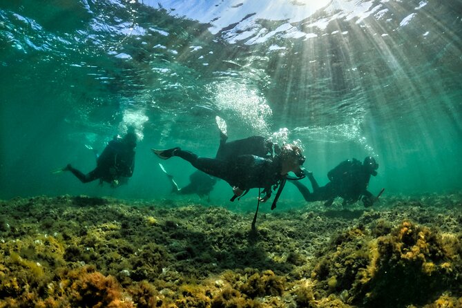 Private Discovery of Scuba Diving in Estérel - Key Points